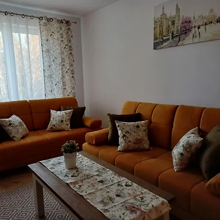 Spring & Summer Polanki Park 科沃布热格