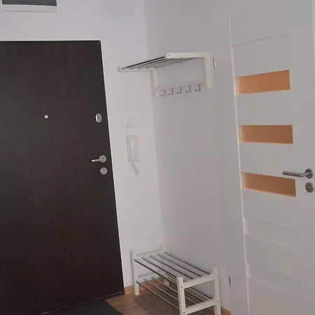 Spring & Summer Polanki Park