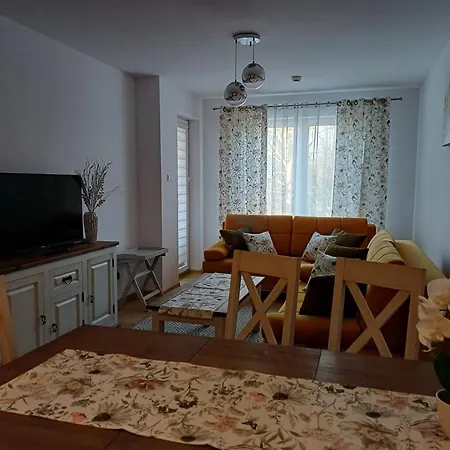 Spring & Summer Polanki Park *