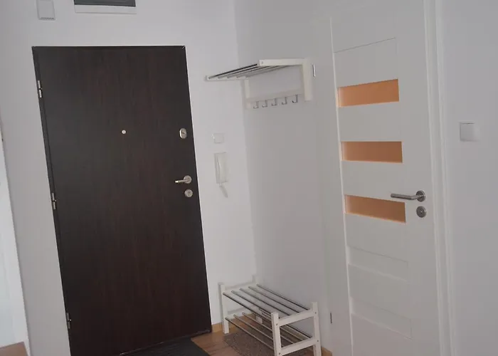 Spring & Summer Polanki Park